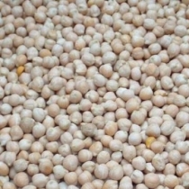 Chick Peas Small Size - Click here to view and order this product