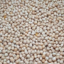 Chick Peas Large Size - Click here to view and order this product