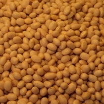 Haricot Beans Large Size - Click here to view and order this product