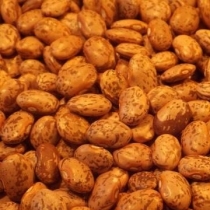 Pinto Beans Small Quantity - Click here to view and order this product