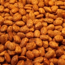 Pinto Beans Large Quantity - Click here to view and order this product