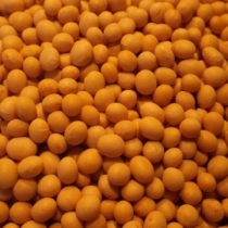 Soya Beans Large Quantity - Click here to view and order this product