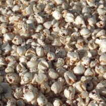 Puffed Buckwheat - Click here to view and order this product