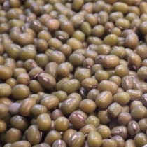 Mung Beans Small Quantity - Click here to view and order this product