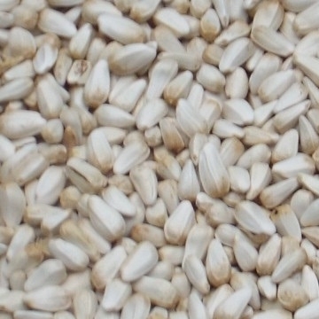 Safflower Seed Small Quantity