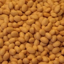 Haricot Beans Small Size - Click here to view and order this product