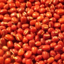 Aduki Beans Small Quantity - Click here to view and order this product