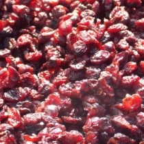 Cranberries - Click here to view and order this product
