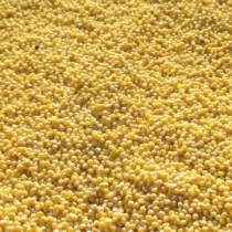 Hulled Millet Large Quantity - Click here to view and order this product
