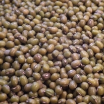 Mung Beans Large Quantity - Click here to view and order this product