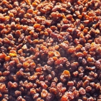 Raisins - Click here to view and order this product