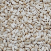 Safflower Seed Large Quantity - Click here to view and order this product
