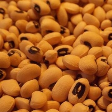 Blackeye Beans Small Quantity