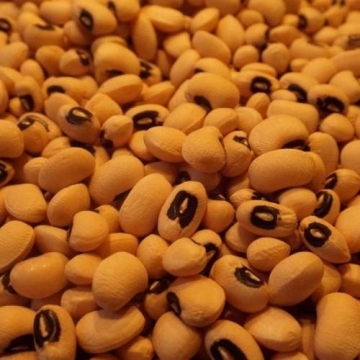 Blackeye Beans Large Quantity