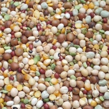 Pulse And Brown Rice Soaking Mix Large Quantity