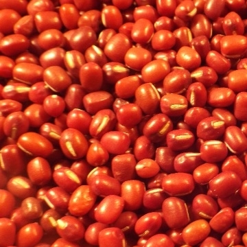 Aduki Beans Small Quantity