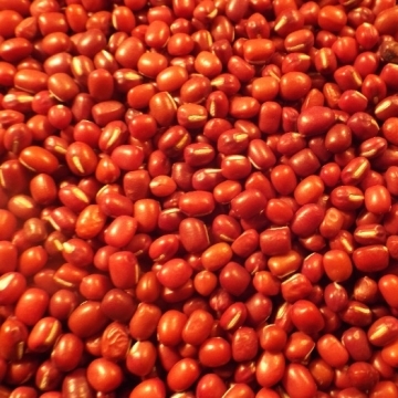 Aduki Beans Large Quantity