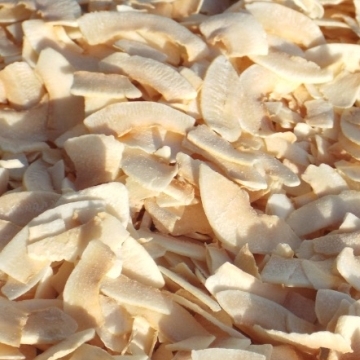 Toasted Coconut Chips