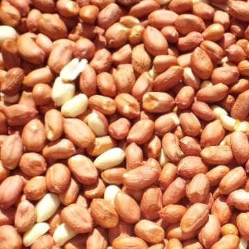 Hulled Peanuts Small